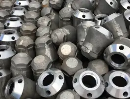 Drobnica Precyzyjna - zdjęcie